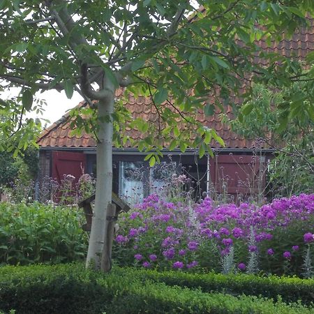 'T Griene Hemeltsje Bed and Breakfast Wijckel Exteriör bild
