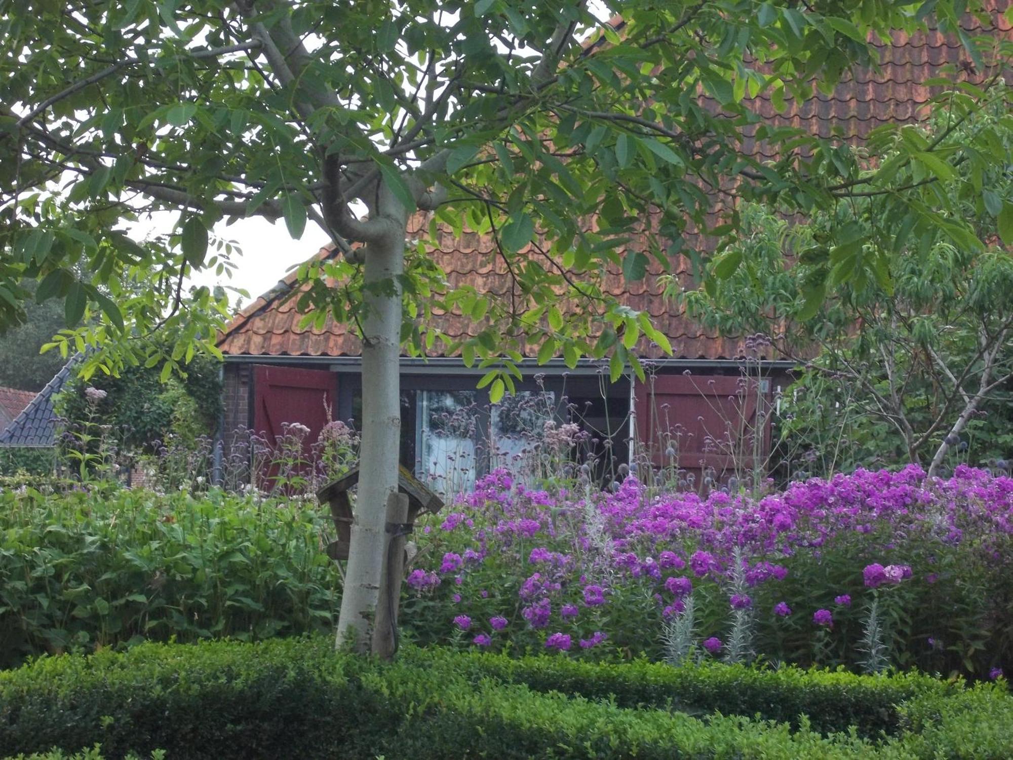 'T Griene Hemeltsje Bed and Breakfast Wijckel Exteriör bild